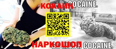 jwh Бердск
