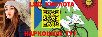 jwh Бердск