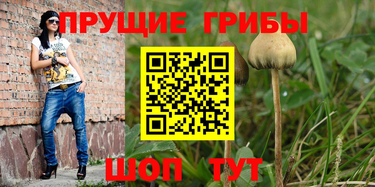 Казань  Галлюциногенные грибы Cubensis  Галлюциногенные грибы мицелий  Вход с VPN 